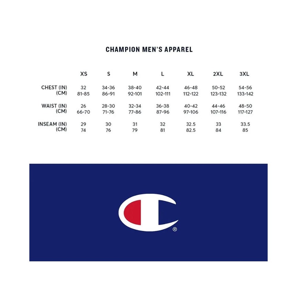 Champion Graphic Powerblend Fleece * Ultimate Comfort Sweatshirt MSS41 - Picture 6 of 6